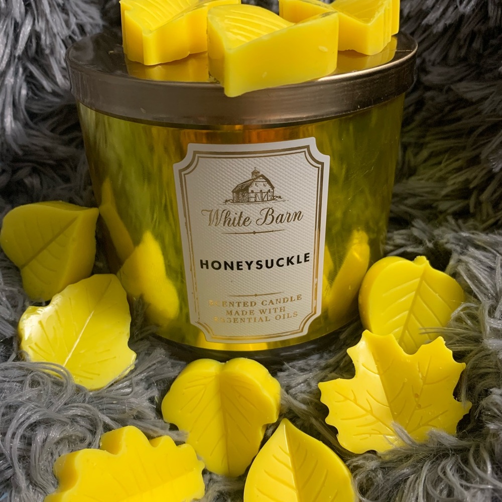 Bath and Body Works Candle Wax Melts